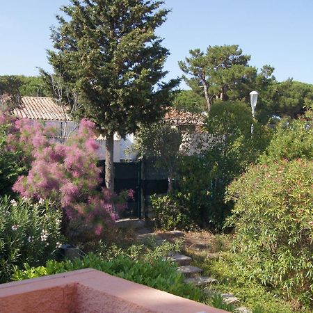 Lara 2 - T2 Balcon Piscine Lit Double & Clic-Clac Parking Pres Du Centre-Port Et Ile Loisirs Agde Eksteriør bilde